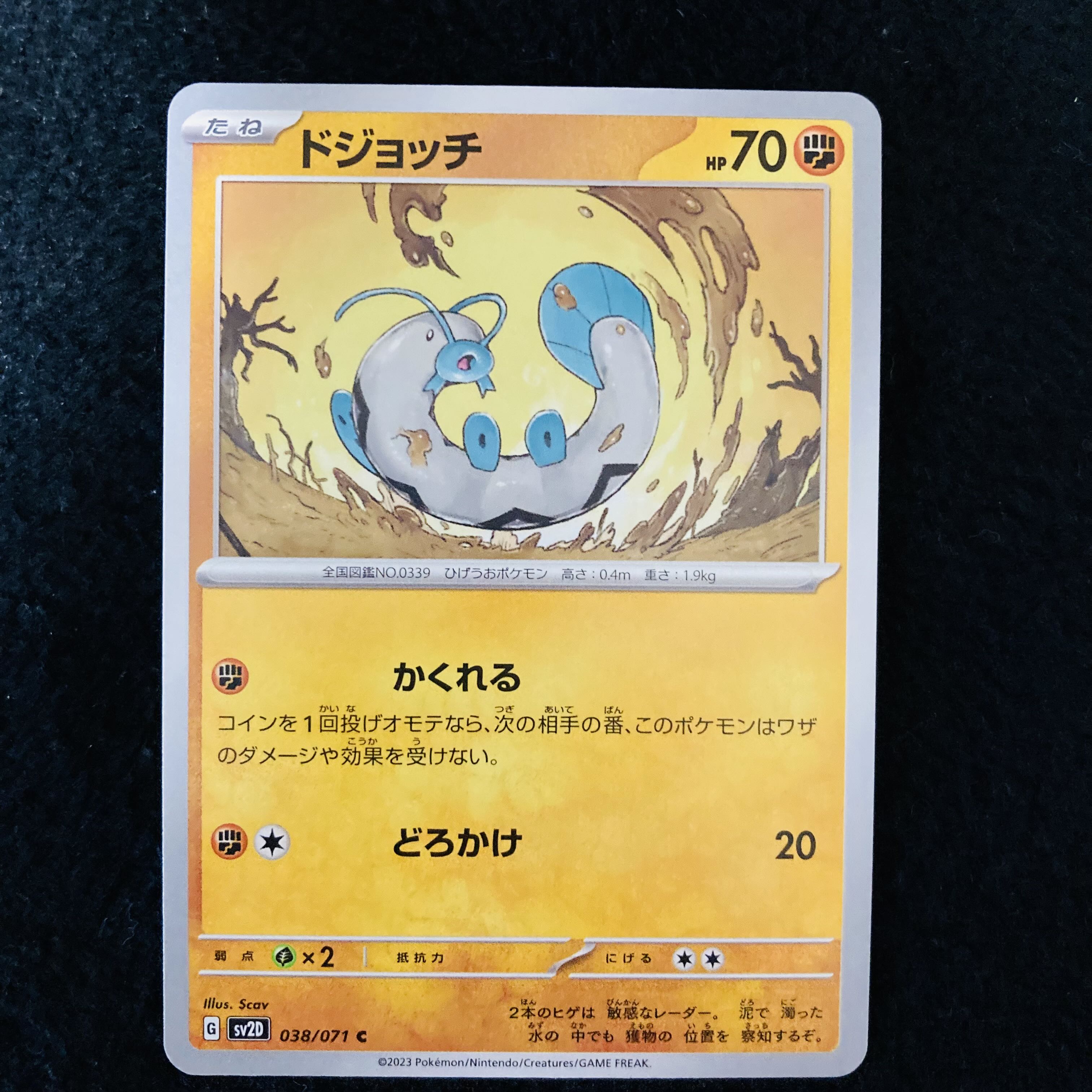 ドジョッチ C 038/071