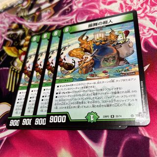 振舞の超人 R 25/74 23RP2