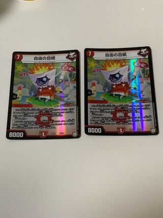 自由の目紙 16/69