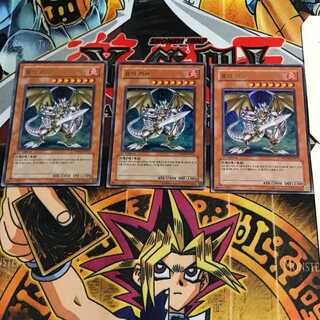 韓国版 竜の騎士 PP04 6 ウルトラ 3枚セット てら