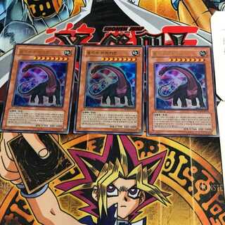韓国版 竜脚獣ブラキオン PP04 5 ウルトラ 3枚セット てら