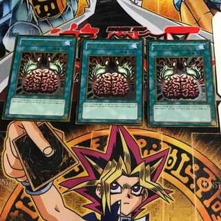 韓国版 洗脳-ブレインコントロール GS02 4 ゴールド 3枚セット てら