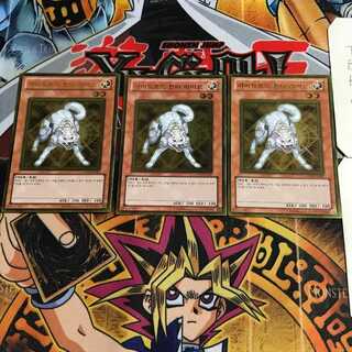 韓国版 ライトロード・ハンター ライコウ GS03 1 ゴールド 3枚セット てら