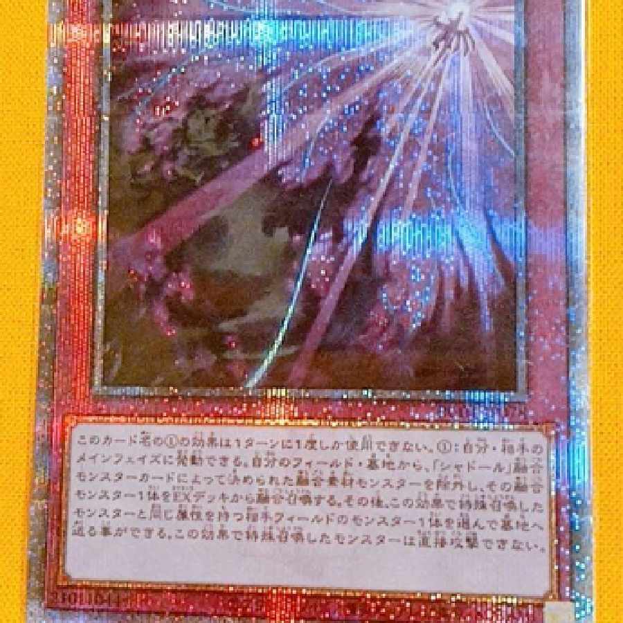 遊戯王 【影依の偽典】シャドールーク 25th