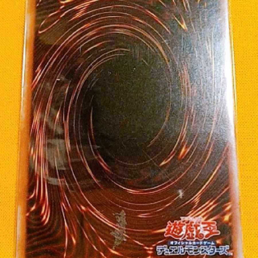 遊戯王 【影依の偽典】シャドールーク 25th