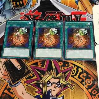 英語版 おろかな転生 STOR 2 レア 3枚セット てら