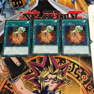 英語版 おろかな転生 STOR 3 レア 3枚セット てら