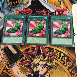 英語版 ゴブリンの秘薬 LOB 1 レア 3枚セット てら