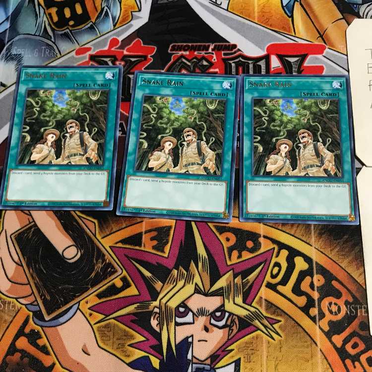 英語版 スネーク・レイン ANGU 1 レア 3枚セット てら