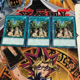 英語版 スネーク・レイン ANGU 4 レア 3枚セット てら