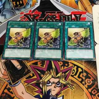 英語版 休息する剣闘獣 LCGX 2 レア 3枚セット てら