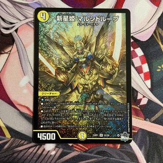 新星姫 マルシドループ SR S2/S8