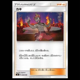 枚数調整可 カキ 1枚