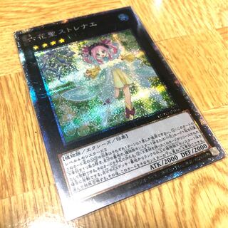 [遊戯王]-六花聖ストレナエ(PSE)×1
