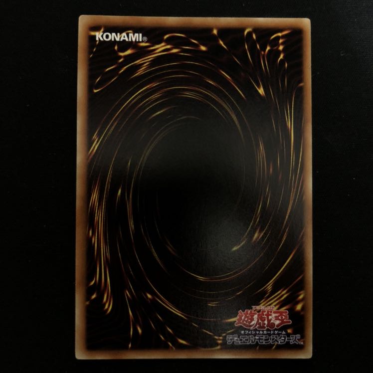 A・O・J ディサイシブ・アームズ DTシク 1枚