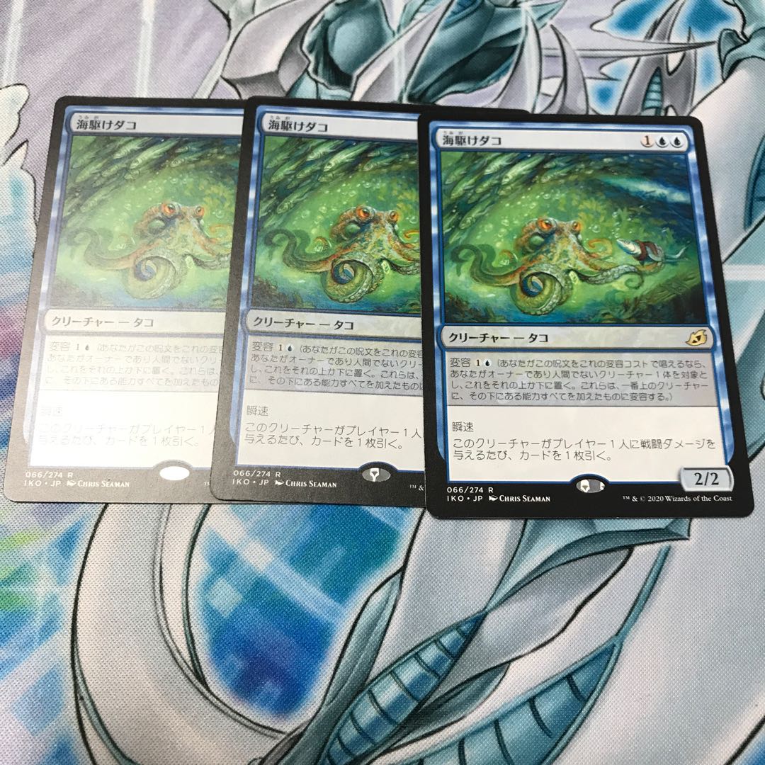 海駆けダコ 3枚セット 3枚