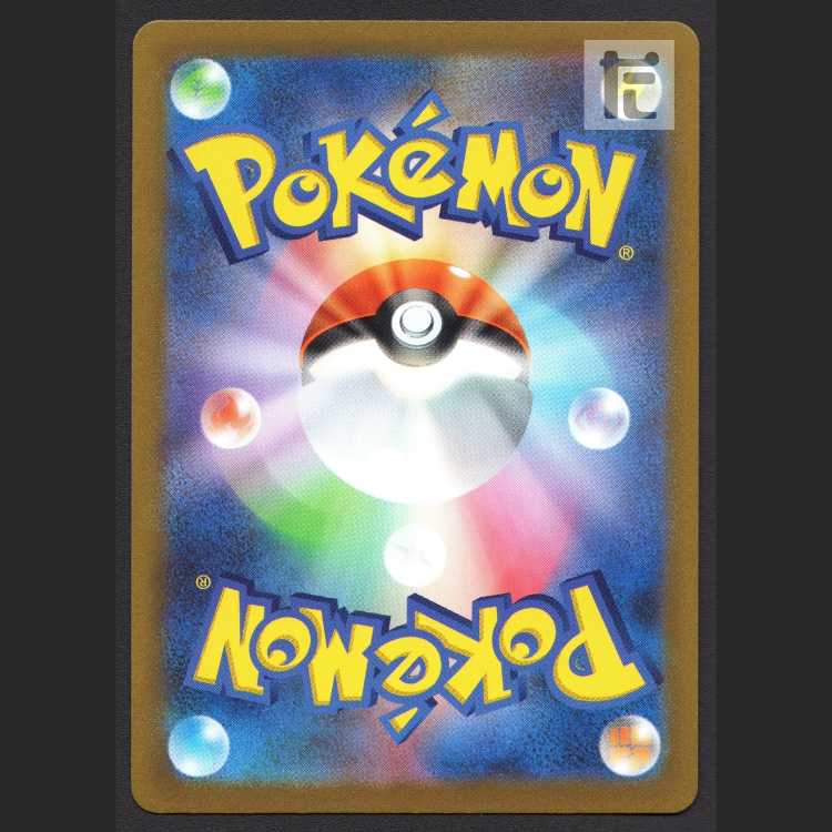 かがやくゲッコウガ【エクセ】K/管理:MP8113