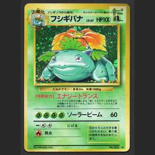 フシギバナ LV.67【ダメージ】旧裏/管理:MP8239