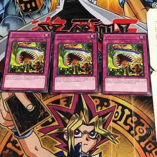 英語版 ギョッ! GENF 2 レア 3枚セット てら