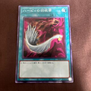 ハーピィの羽根帚 ノーマル