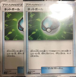 ネットボール2枚セット
