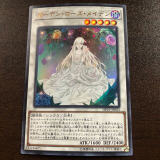 ガーデン・ローズ・メイデン　UR