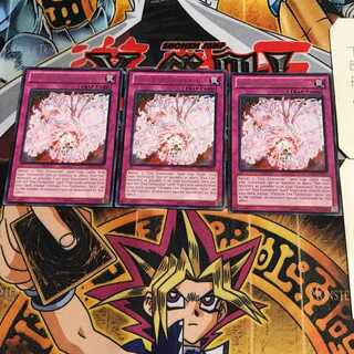 英語版 極炎舞-「星斗」 CBLZ 1 レア 3枚セット てら