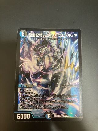 龍素記号wd サイクルペディア