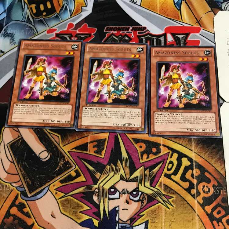 English Amazoness Scouts DREV 1 rare, set of 3 Tera.