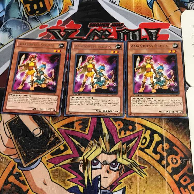 English Amazoness Scouts DREV 2 Rare Set of 3 Tera.