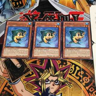 English Imairuka REDU 1 rare, set of 3 Tera.