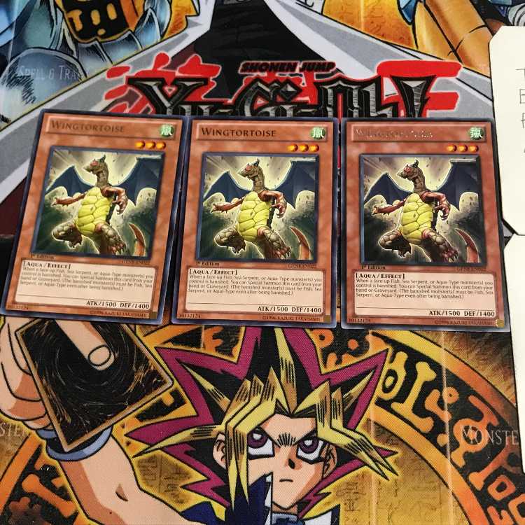 English Wingtortoise GENF 1 rare, set of 3 Tera.