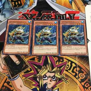 English Uminotaurus ABYR 1 rare, set of 3 Tera.