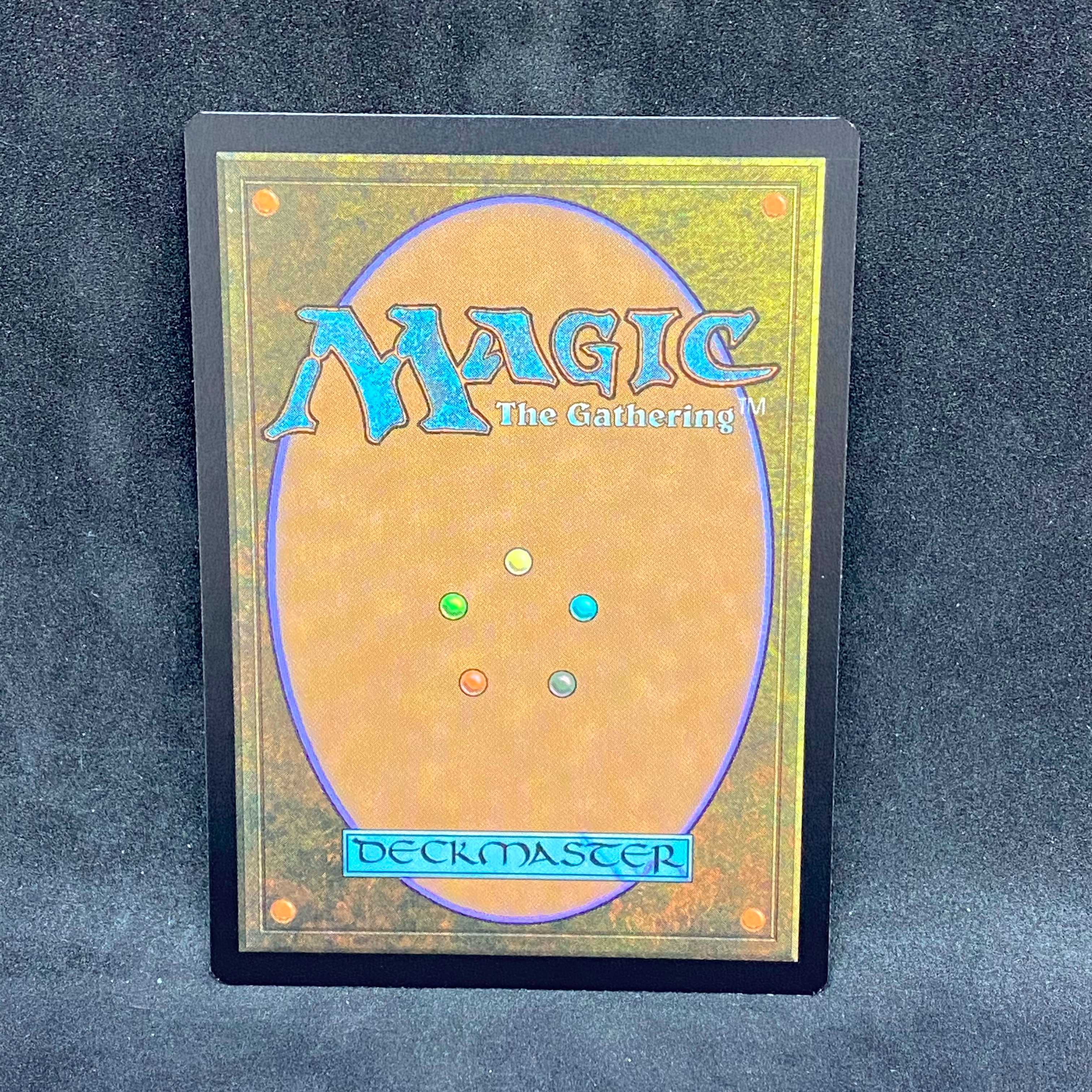 寓話の小道＠00969