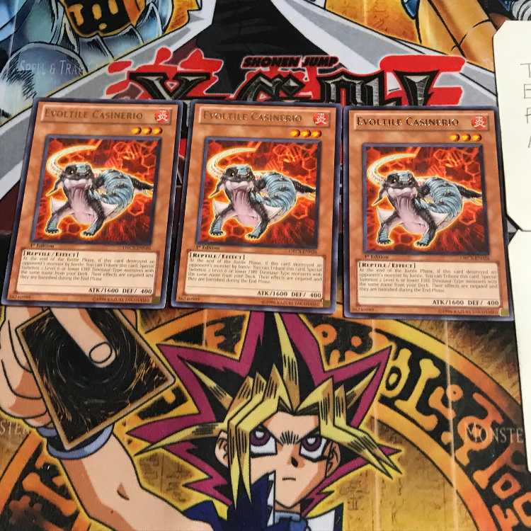 English Evoltile Casinerio ORCS 3 Rare Set of 3 Tera