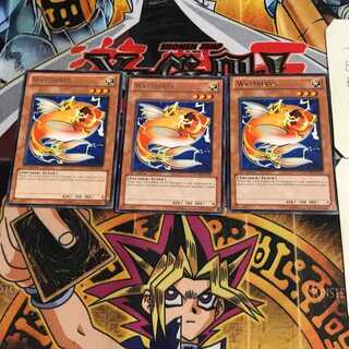 English Wattberyx STOR 1 rare, set of 3 Tera.