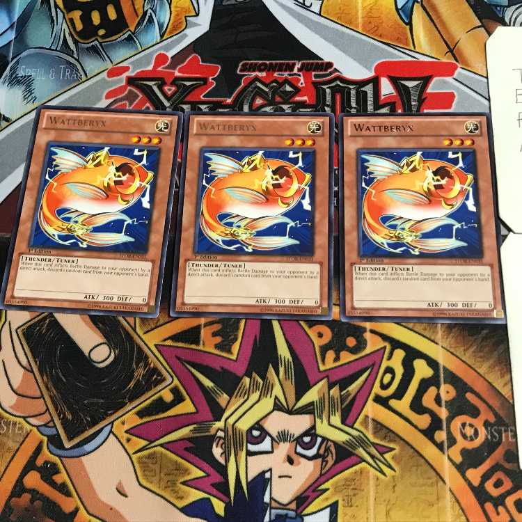 English Wattberyx STOR 2 rare, set of 3 Tera.