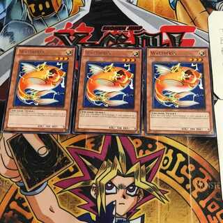 English Wattberyx STOR 3 rare, set of 3 Tera.