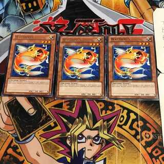 English Wattberyx STOR 4 Rare Set of 3 Tera.