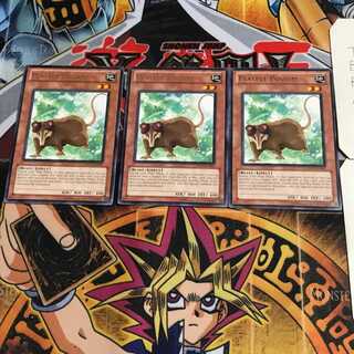 English Playful Possum DREV 1 rare, set of 3 Tera.