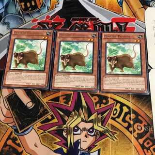 English Playful Possum DREV 3 rare, set of 3 Tera.