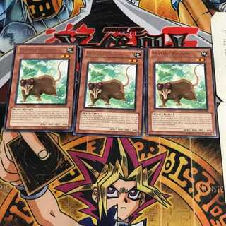 English Playful Possum DREV 5 rare, set of 3 Tera.