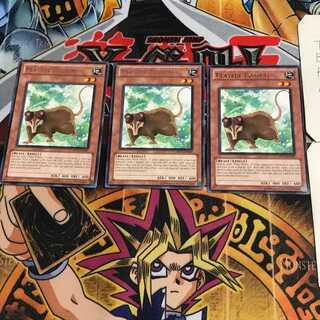 English Playful Possum DREV 6 rare, set of 3 Tera.