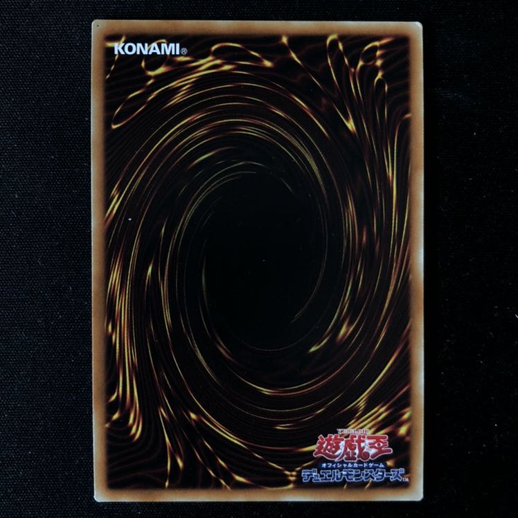 暗黒騎士ガイアロード シク 1枚