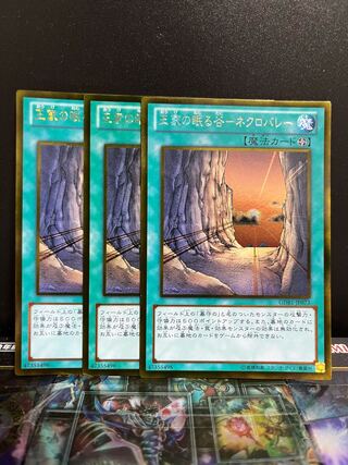 Yu-Gi-Oh Studio 5343 Valley of the Kings Sleeps - Necro Valley Gold Rare JP073