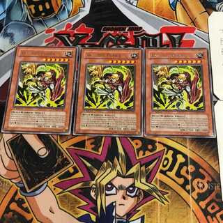 English Akz, the Pumer TSHD1 Rare, set of 3 Tera.