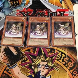 English Magicat ANPR 1 rare, set of 3 Tera.