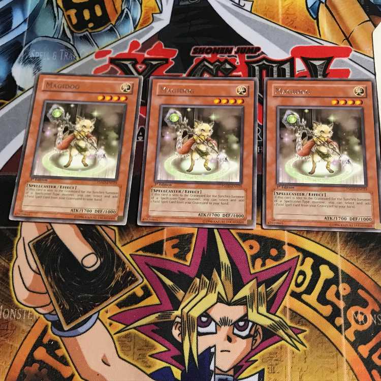 English Magidog TSHD 1 Rare Set of 3 Tera.