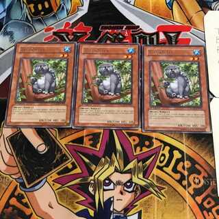 英語版 ラッコアラ RGBT 2 レア 3枚セット てら