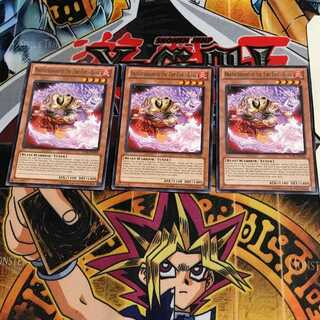 English Orphan Fire Star - Roshishin JOTL 1 Rare Set of 3 Tera.